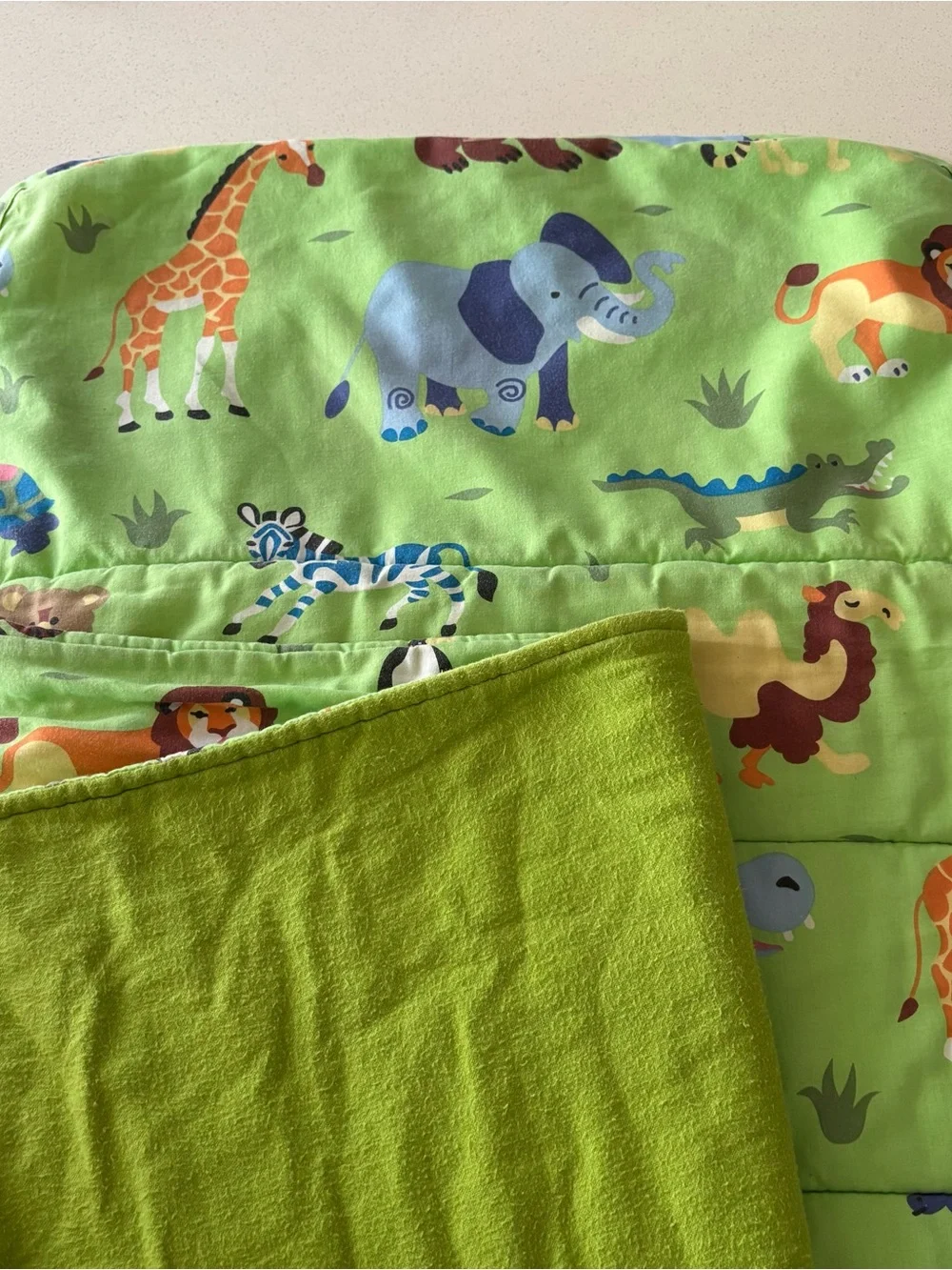 Wildkin nap mat